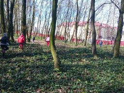 Sprzatanie swiata 2016 - 12